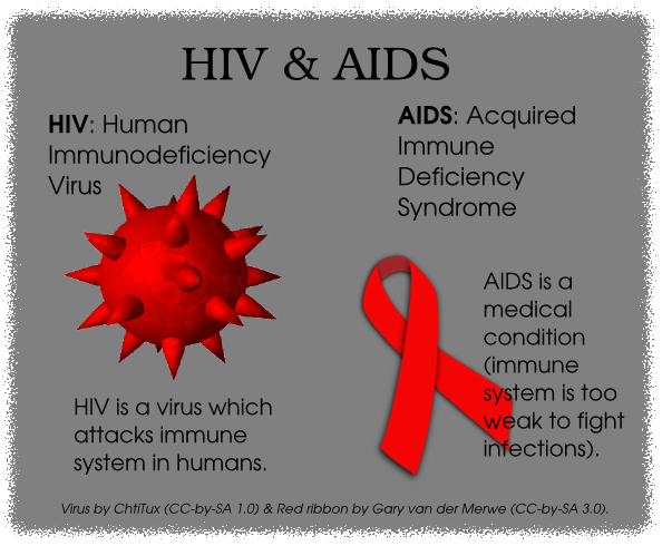 An Introduction to HIV
