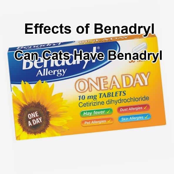 Benadryl good for rashes, benadryl good for rashes