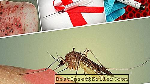 Can mosquitoes be infected with AIDS, HIV or other diseases ...
