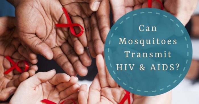 Can Mosquitoes transmit HIV and AIDS?