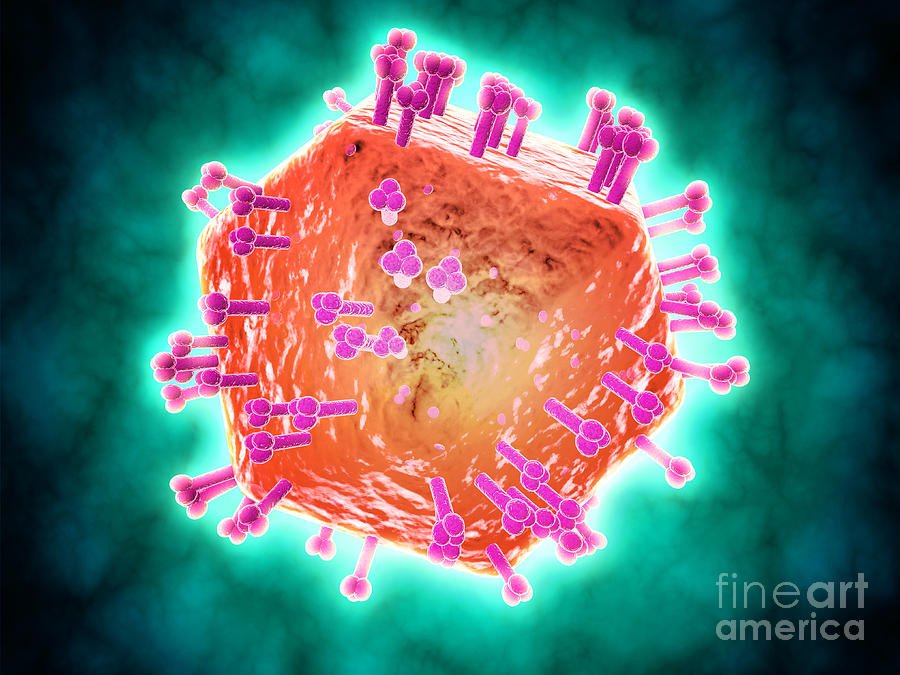 Conceptual Image Of Hiv Virus Digital Art by Stocktrek Images