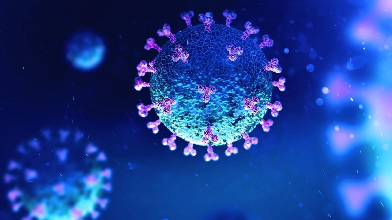 Coronavirus could attack immune system like HIV by ...