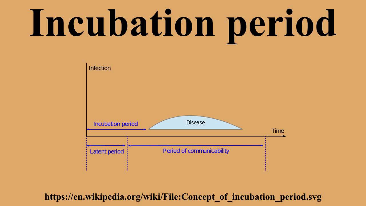 Incubation period