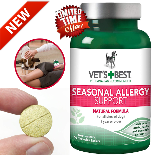 Vetâs Best Allergy Medicine for Dogs Itchy Skin Rash Itch Relief Dog ...