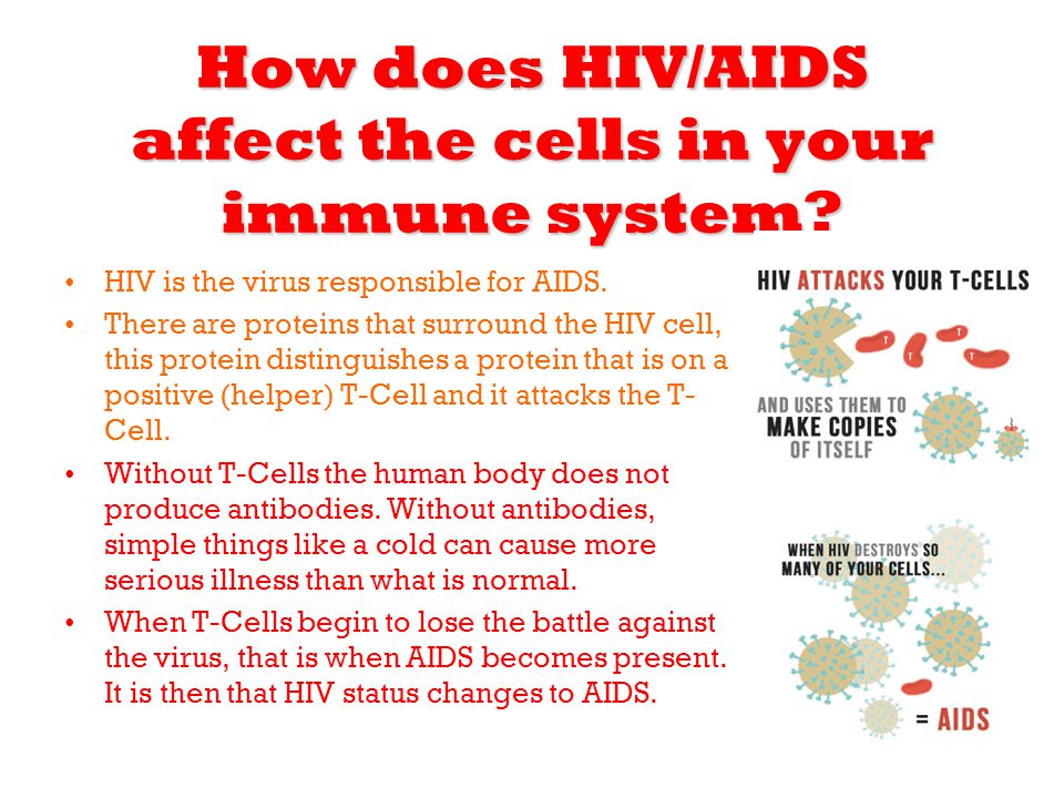 What is AIDS? Learn Then Vs. Now and Other Important ...